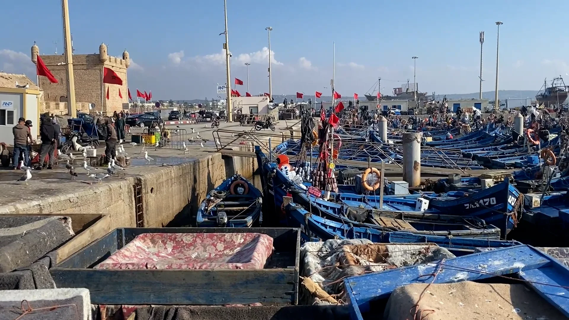 Essaouira Fishing Port Tour main image