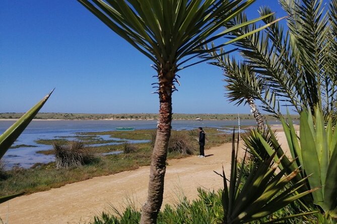 Taxi Marrakech to Oualidia private transfer