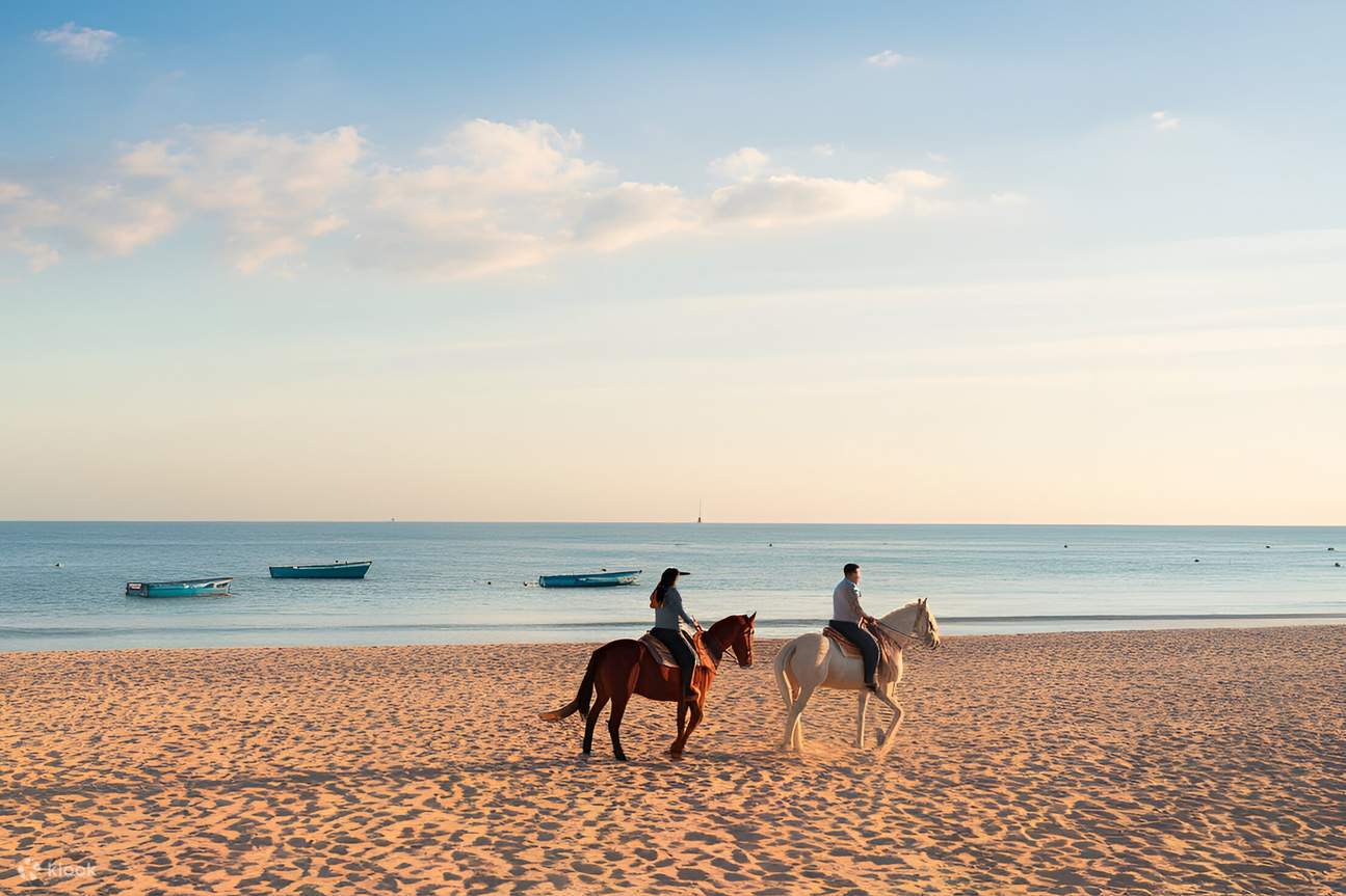 Essaouira Beach Horseback Riding main image